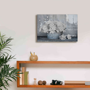 'Queen Anne's Lace I' by Lori Deiter, Canvas Wall Art,18 x 12