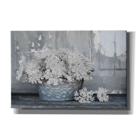Image of 'Queen Anne's Lace I' by Lori Deiter, Canvas Wall Art
