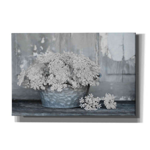 'Queen Anne's Lace I' by Lori Deiter, Canvas Wall Art