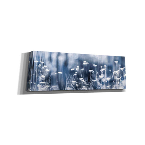 Image of 'Summer Dreams' by Lori Deiter, Canvas Wall Art