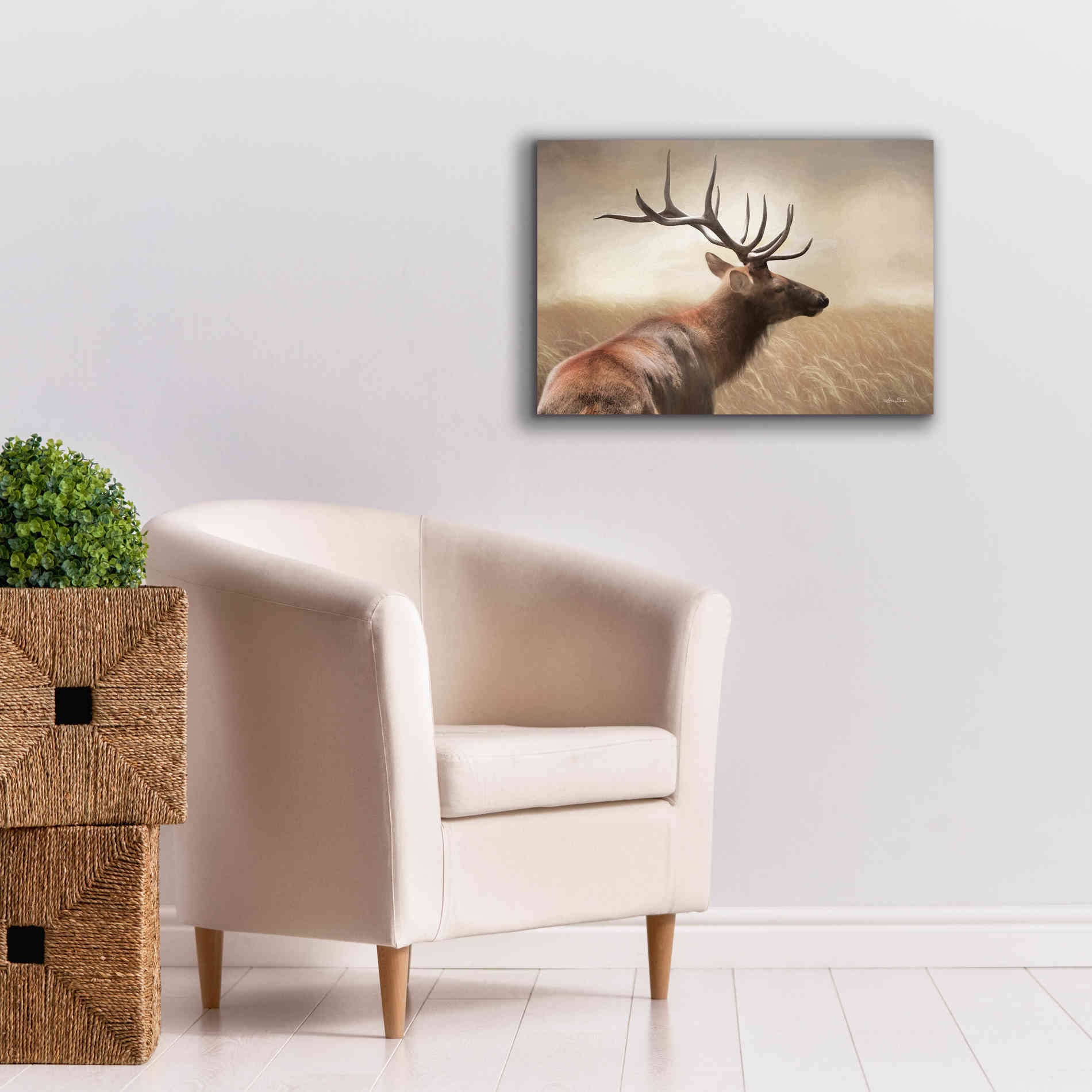 'Elk in the Grass' by Lori Deiter, Canvas Wall Art,26 x 18