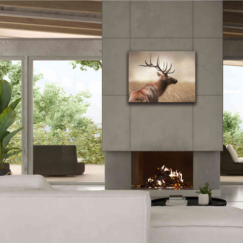Image of 'Elk in the Grass' by Lori Deiter, Canvas Wall Art,34 x 26