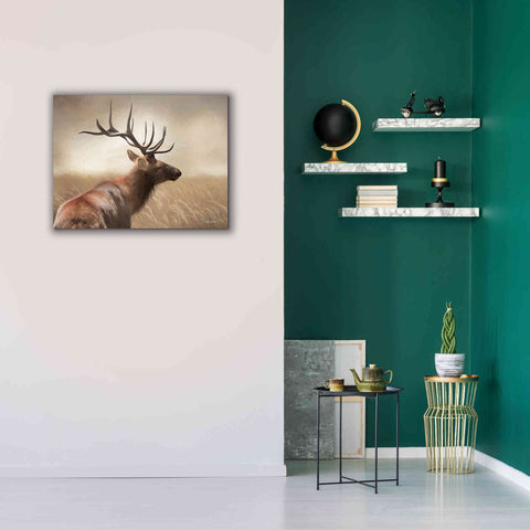 Image of 'Elk in the Grass' by Lori Deiter, Canvas Wall Art,34 x 26