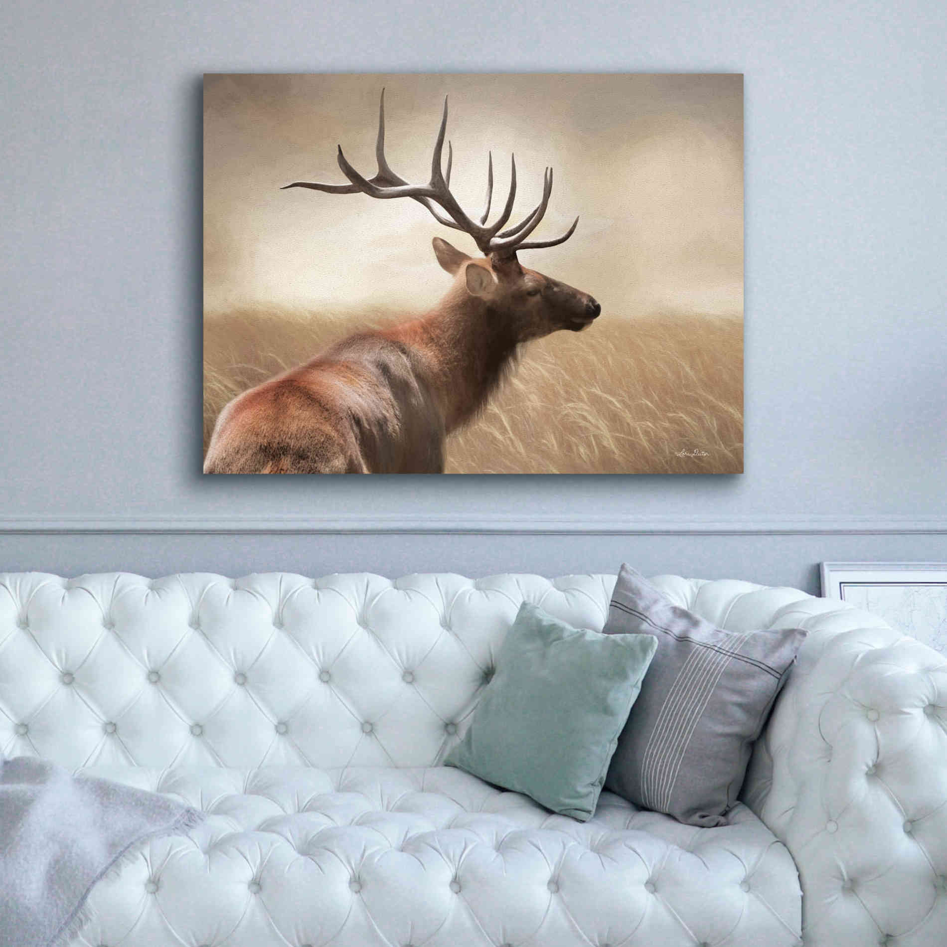 'Elk in the Grass' by Lori Deiter, Canvas Wall Art,54 x 40