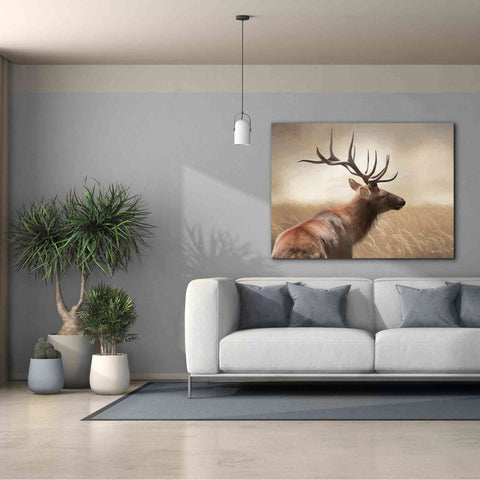 Image of 'Elk in the Grass' by Lori Deiter, Canvas Wall Art,54 x 40