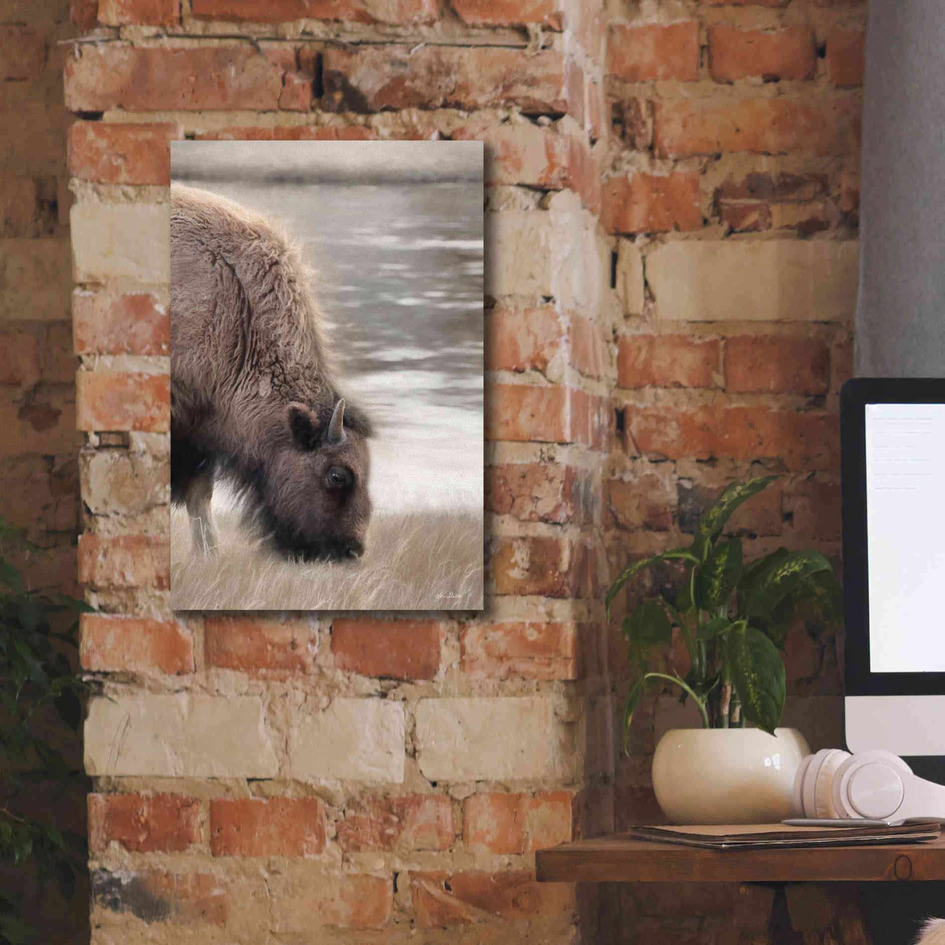 'Yellowstone Buffalo' by Lori Deiter, Canvas Wall Art,12 x 18
