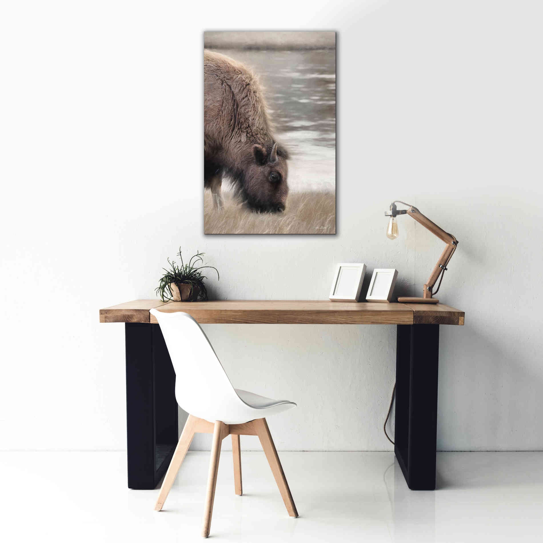 'Yellowstone Buffalo' by Lori Deiter, Canvas Wall Art,26 x 40