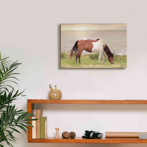 Image of 'Grazing on Assateague Island' by Lori Deiter, Canvas Wall Art,18 x 12