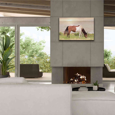 Image of 'Grazing on Assateague Island' by Lori Deiter, Canvas Wall Art,40 x 26