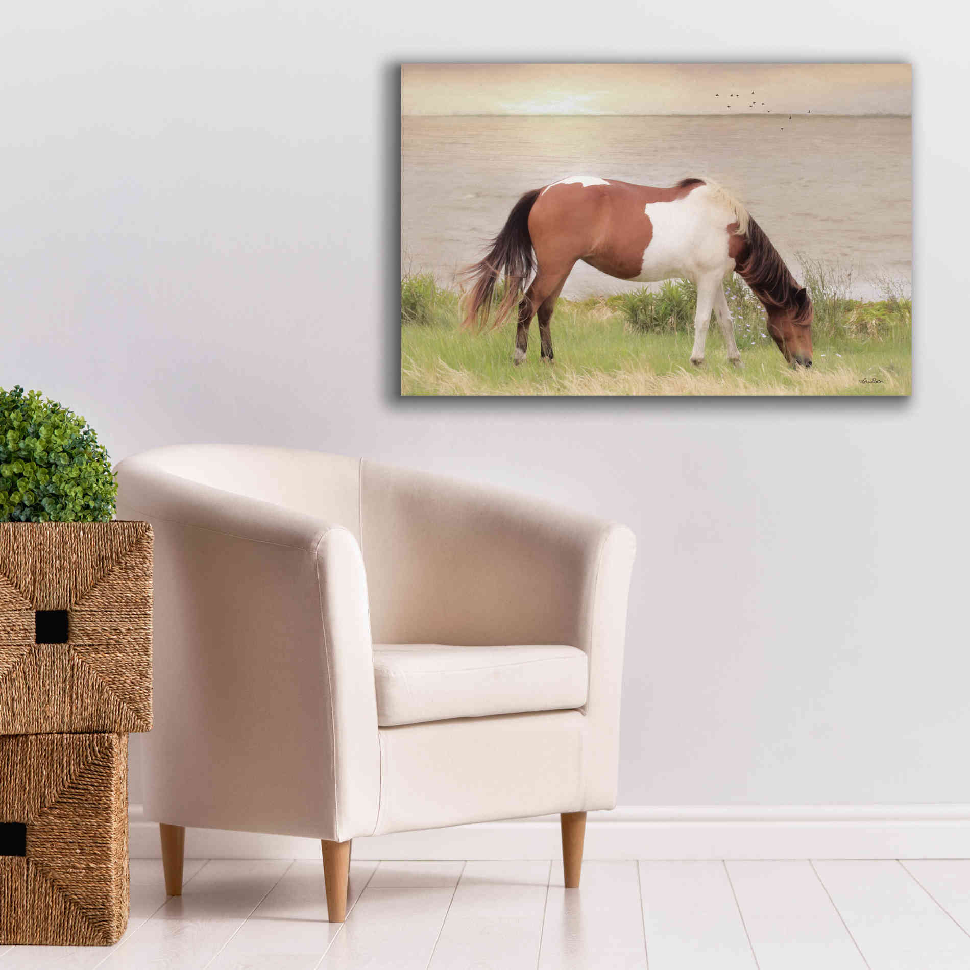'Grazing on Assateague Island' by Lori Deiter, Canvas Wall Art,40 x 26