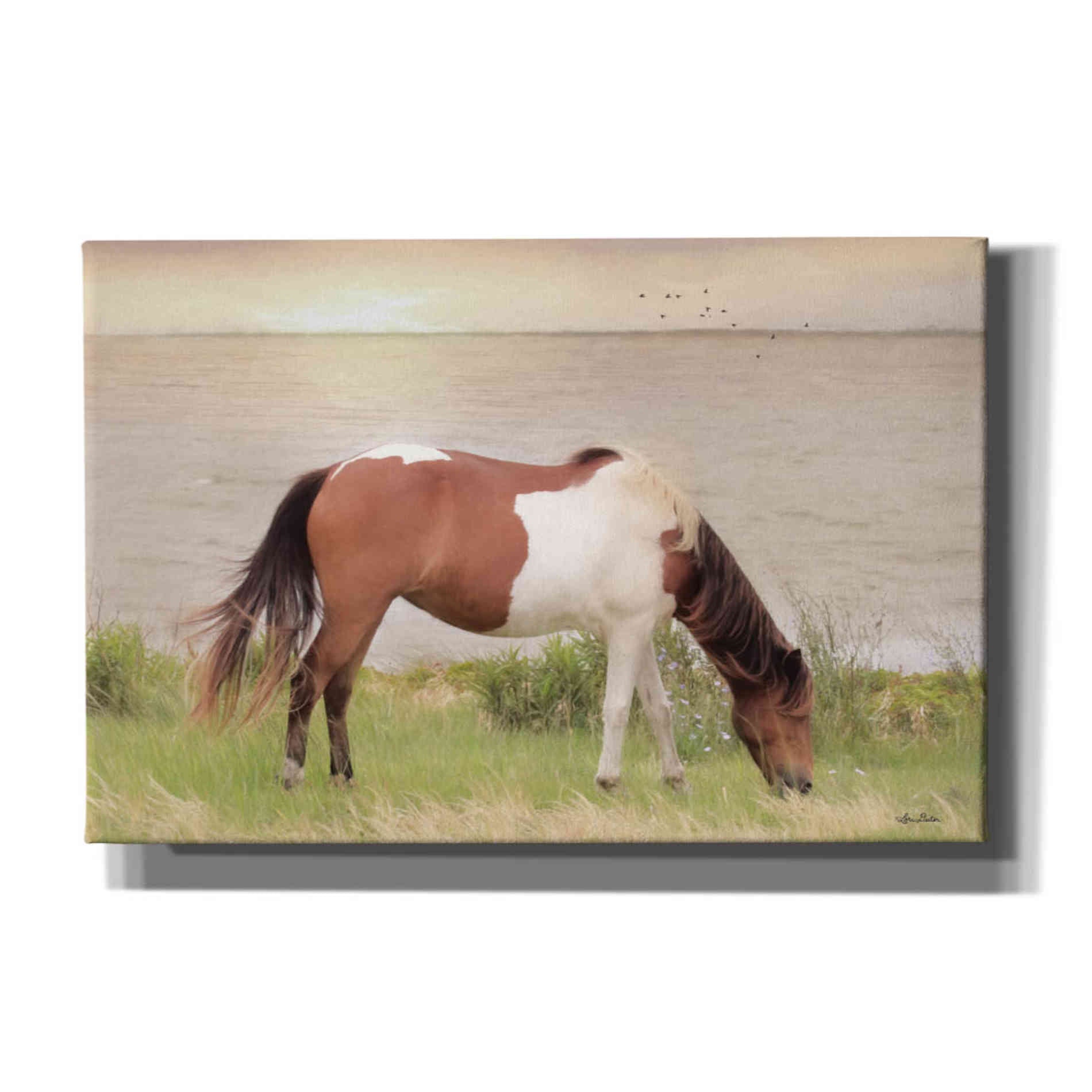 'Grazing on Assateague Island' by Lori Deiter, Canvas Wall Art