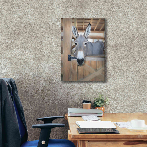 Image of 'Curious Donkey' by Lori Deiter, Canvas Wall Art,18 x 26