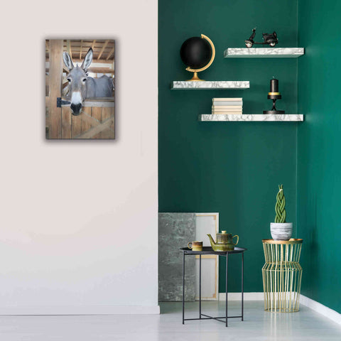 Image of 'Curious Donkey' by Lori Deiter, Canvas Wall Art,18 x 26