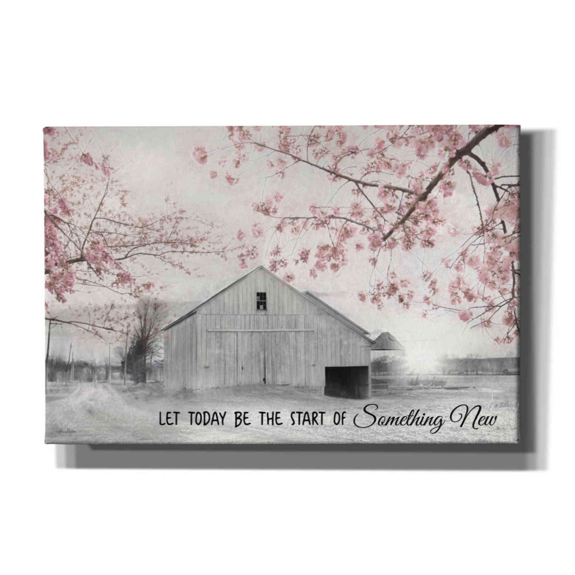 'Something New' by Lori Deiter, Canvas Wall Art