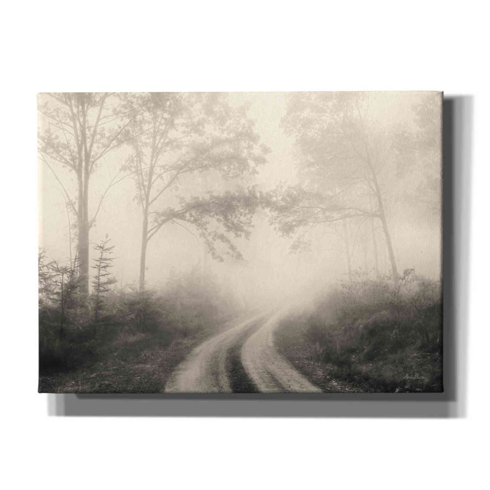 'Bleached Woodlands' by Lori Deiter, Canvas Wall Art