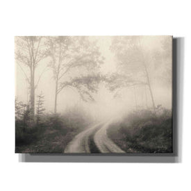 'Bleached Woodlands' by Lori Deiter, Canvas Wall Art