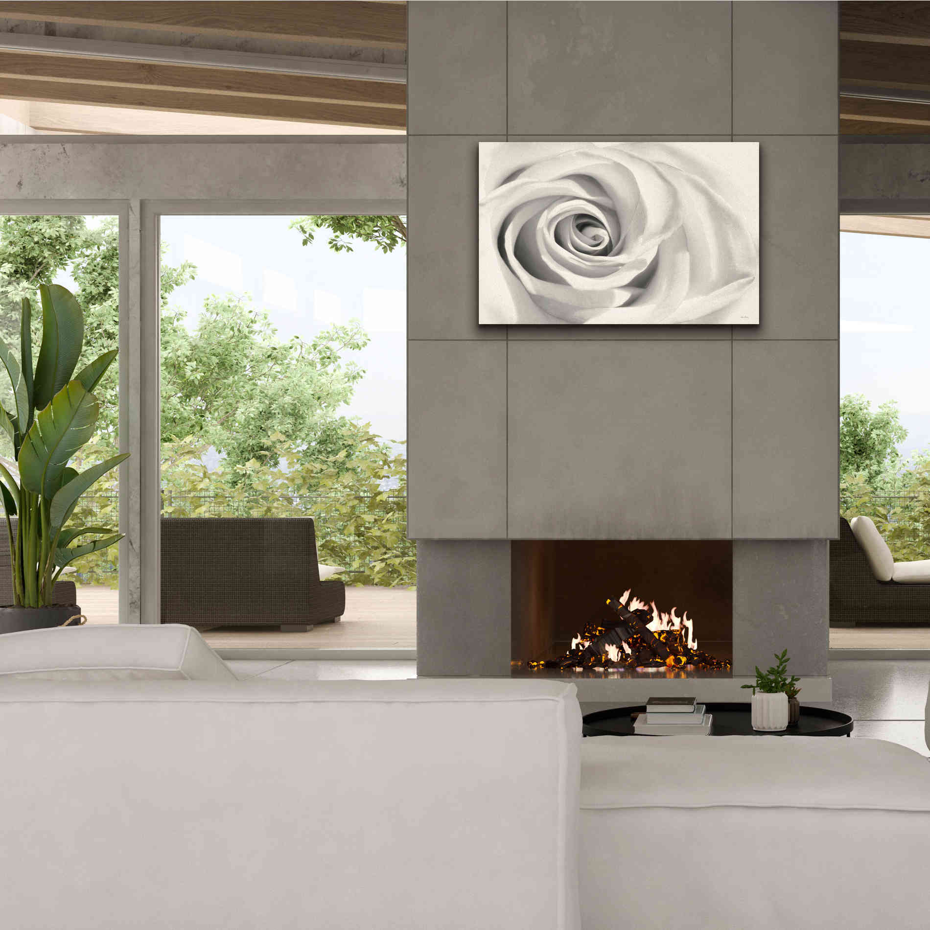 'Rose II' by Lori Deiter, Canvas Wall Art,40 x 26