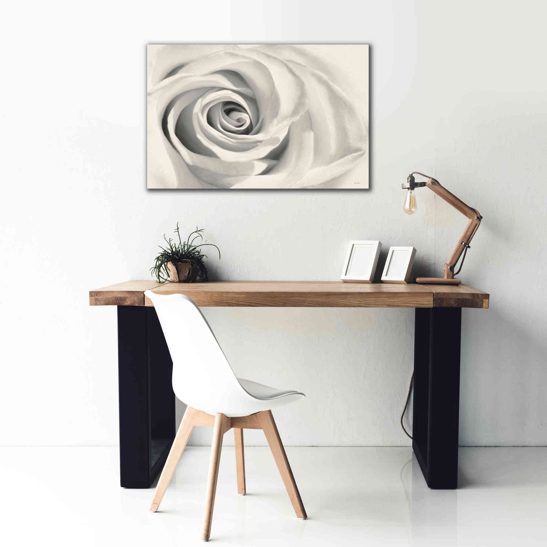 'Rose II' by Lori Deiter, Canvas Wall Art,40 x 26