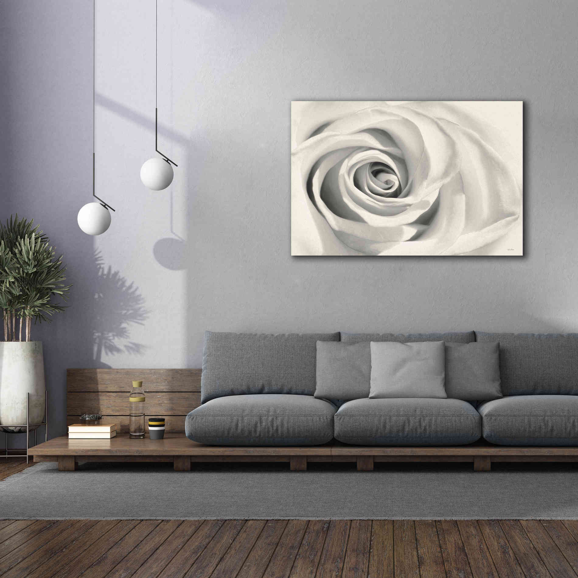 'Rose II' by Lori Deiter, Canvas Wall Art,60 x 40