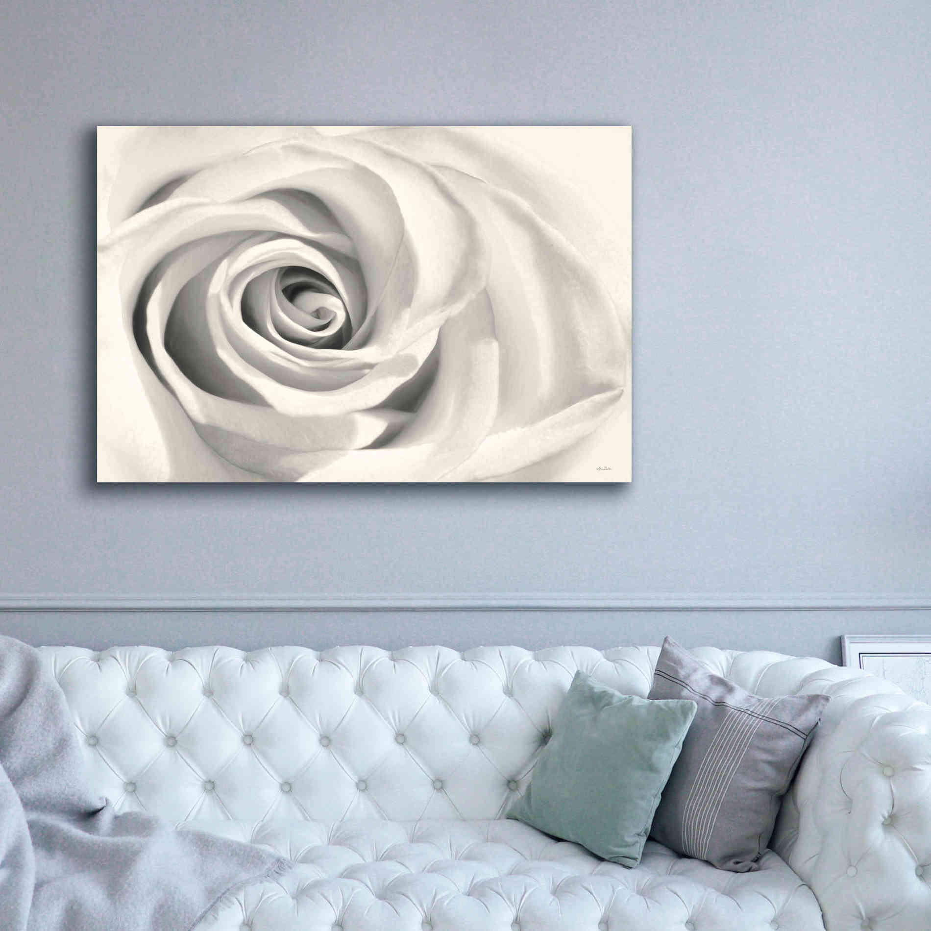 'Rose II' by Lori Deiter, Canvas Wall Art,60 x 40