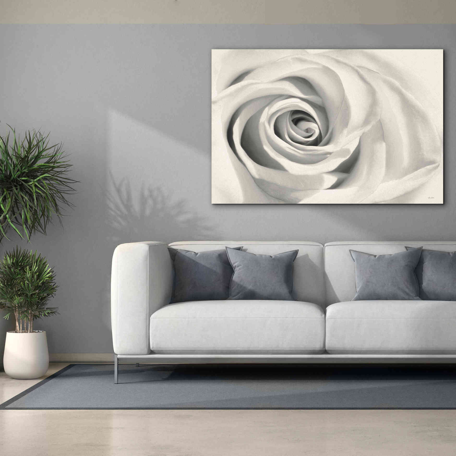 'Rose II' by Lori Deiter, Canvas Wall Art,60 x 40