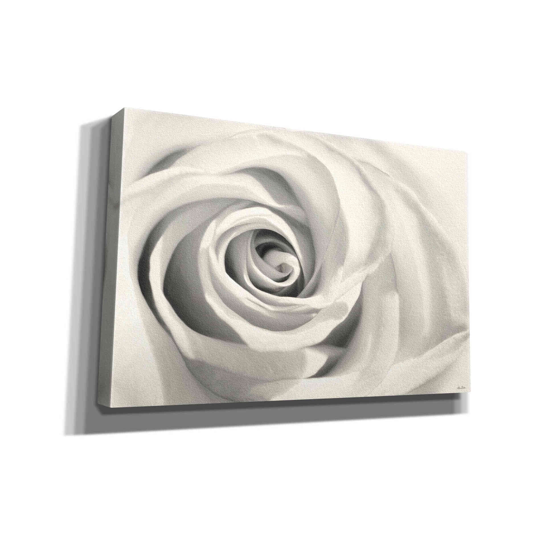 'Rose II' by Lori Deiter, Canvas Wall Art