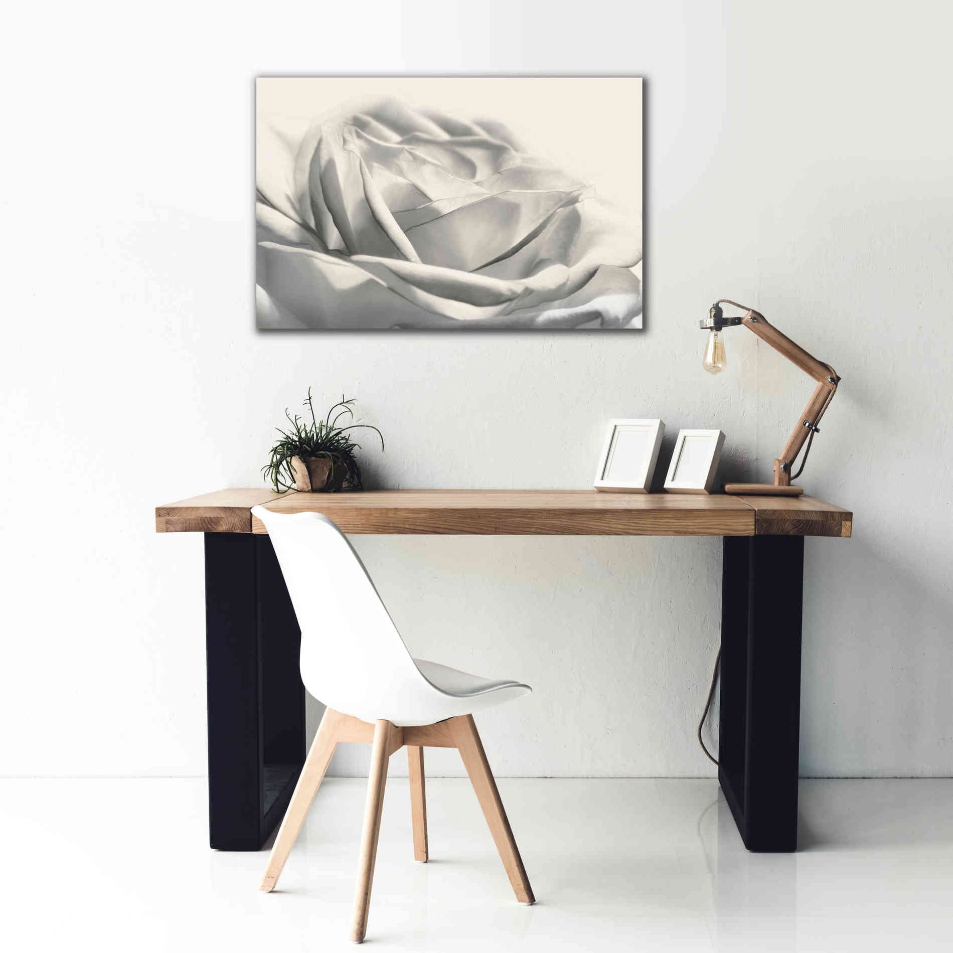 'Rose III' by Lori Deiter, Canvas Wall Art,40 x 26