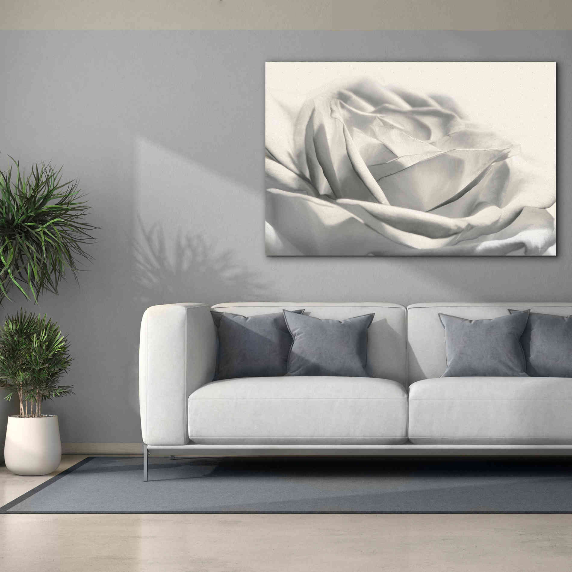 'Rose III' by Lori Deiter, Canvas Wall Art,60 x 40