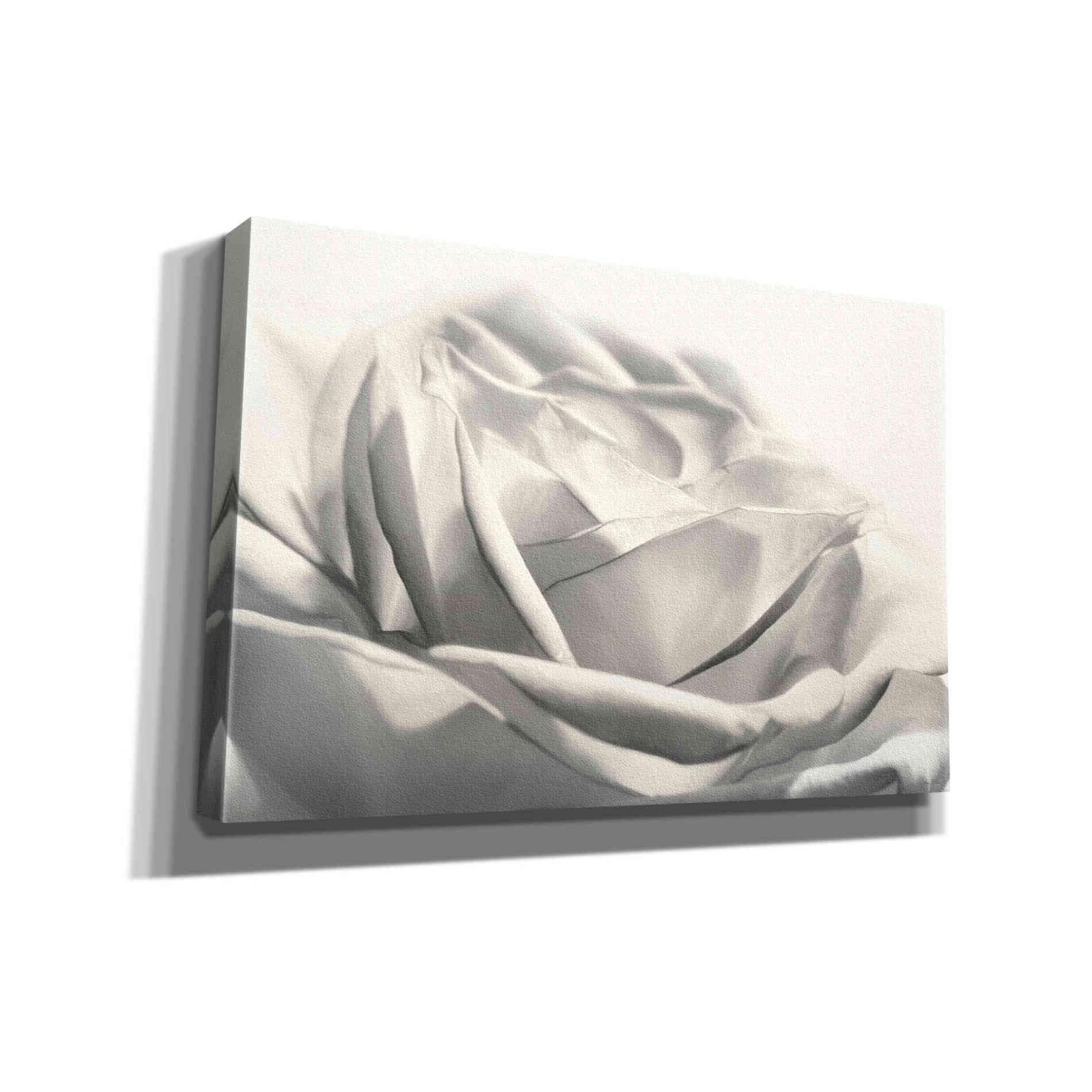 'Rose III' by Lori Deiter, Canvas Wall Art