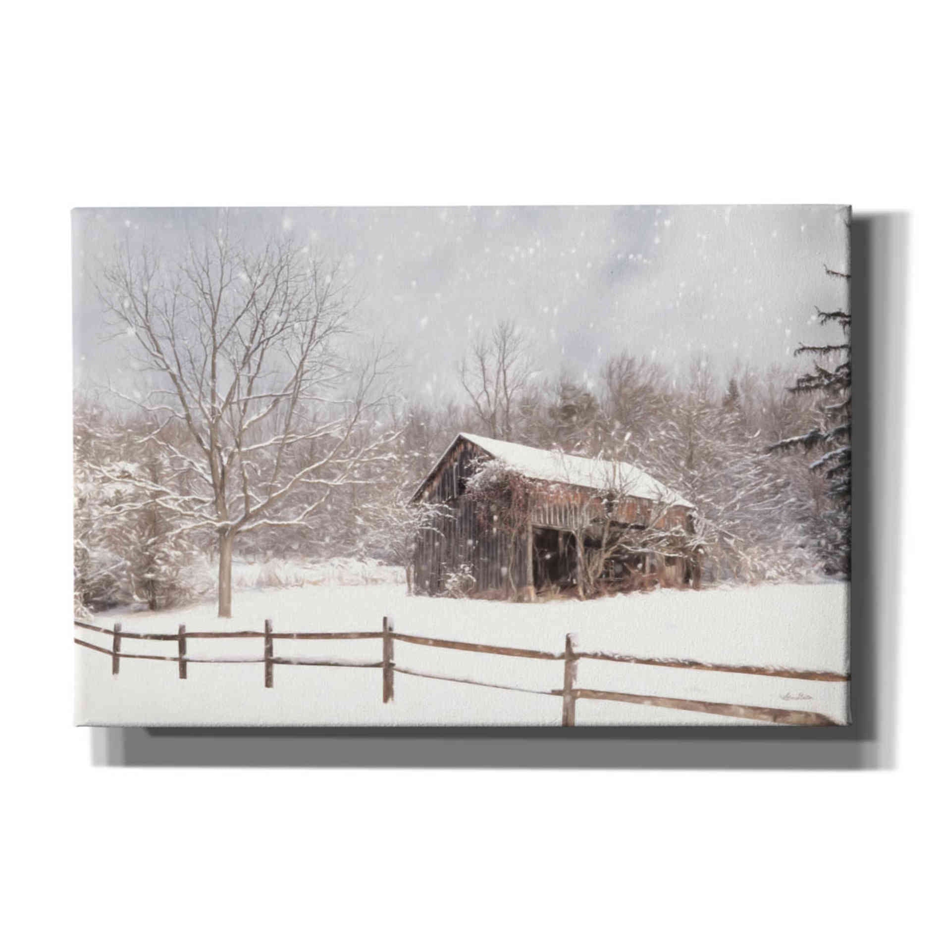 'Beautiful Solitude' by Lori Deiter, Canvas Wall Art
