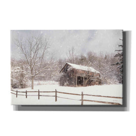 'Beautiful Solitude' by Lori Deiter, Canvas Wall Art
