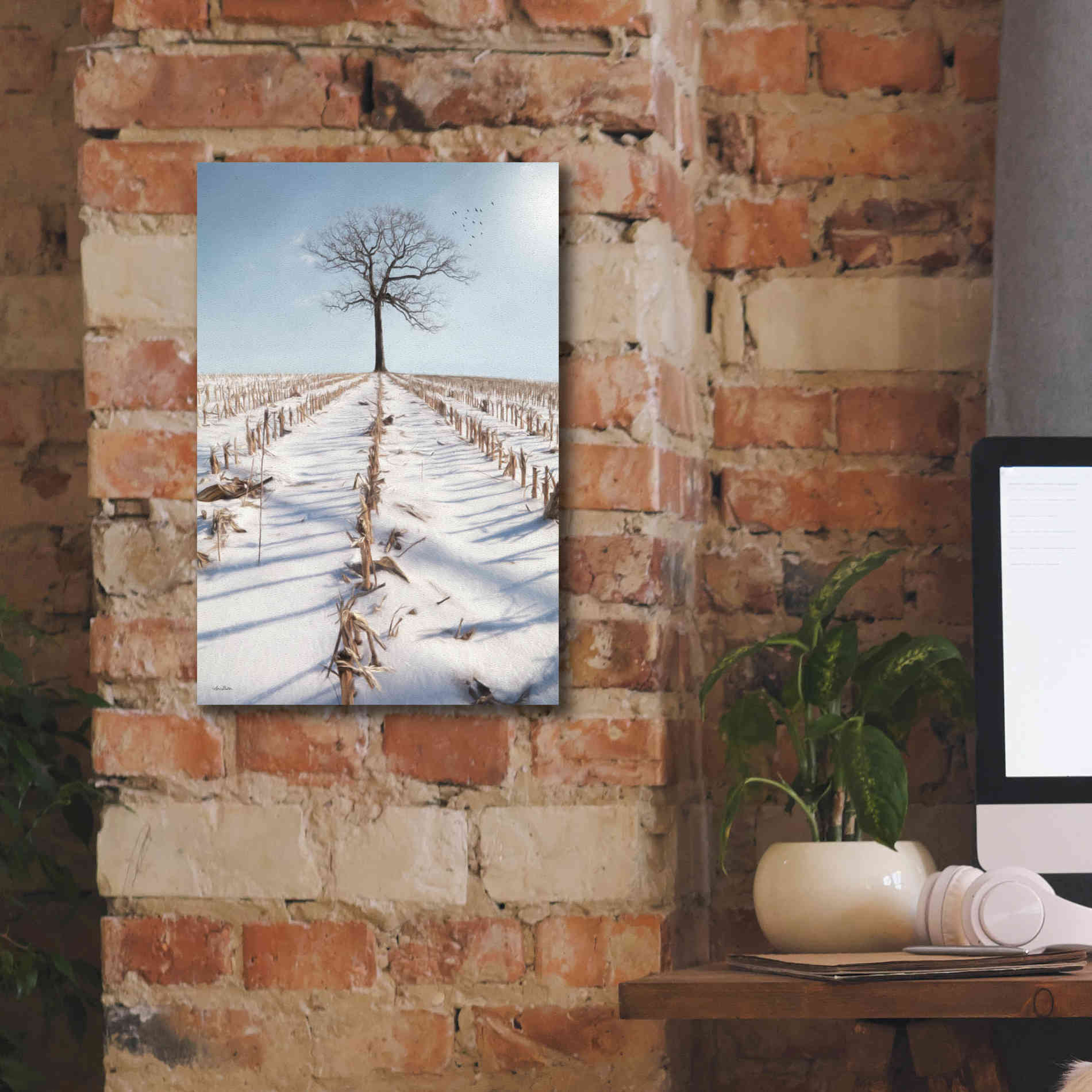 'Winter Boughs' by Lori Deiter, Canvas Wall Art,12 x 18