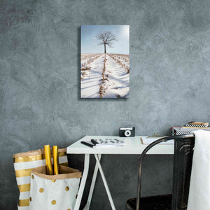 'Winter Boughs' by Lori Deiter, Canvas Wall Art,12 x 18