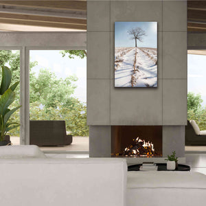 'Winter Boughs' by Lori Deiter, Canvas Wall Art,26 x 40