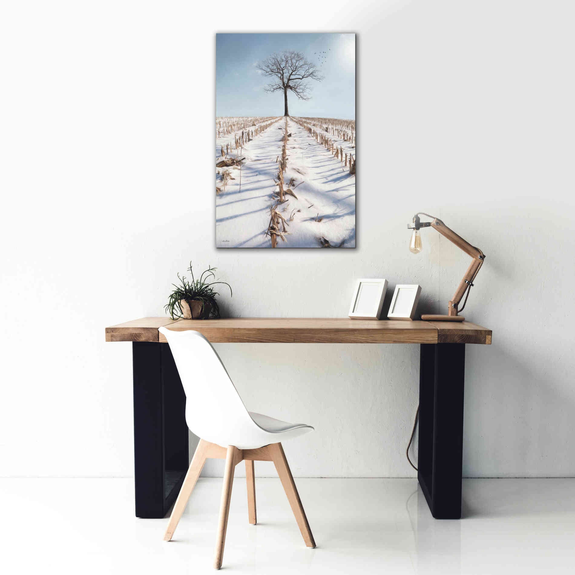 'Winter Boughs' by Lori Deiter, Canvas Wall Art,26 x 40