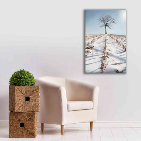 Image of 'Winter Boughs' by Lori Deiter, Canvas Wall Art,26 x 40