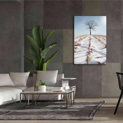 Image of 'Winter Boughs' by Lori Deiter, Canvas Wall Art,40 x 60