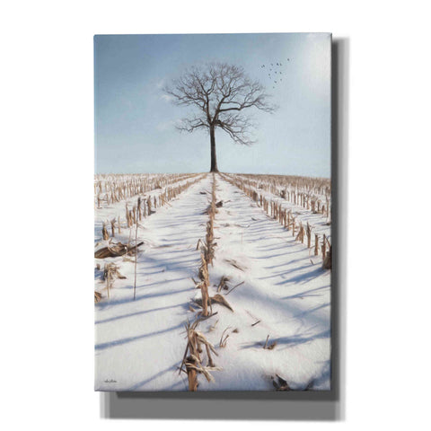Image of 'Winter Boughs' by Lori Deiter, Canvas Wall Art