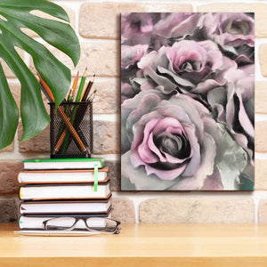 'Painted Roses' by Lori Deiter, Canvas Wall Art,12 x 16