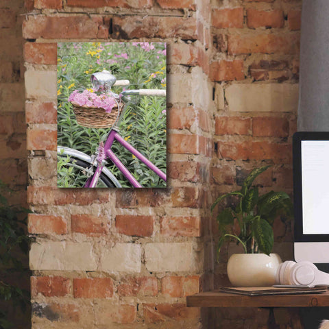 Image of 'Pink Garden Bike' by Lori Deiter, Canvas Wall Art,12 x 16