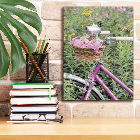 Image of 'Pink Garden Bike' by Lori Deiter, Canvas Wall Art,12 x 16