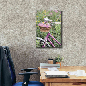 'Pink Garden Bike' by Lori Deiter, Canvas Wall Art,18 x 26