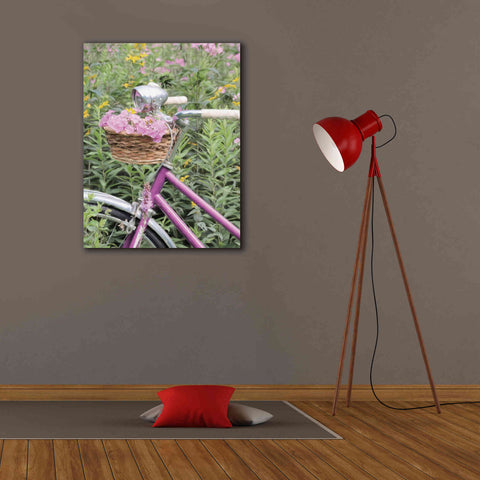 Image of 'Pink Garden Bike' by Lori Deiter, Canvas Wall Art,26 x 34