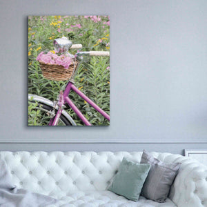 'Pink Garden Bike' by Lori Deiter, Canvas Wall Art,40 x 54