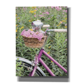 'Pink Garden Bike' by Lori Deiter, Canvas Wall Art