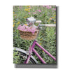 'Pink Garden Bike' by Lori Deiter, Canvas Wall Art