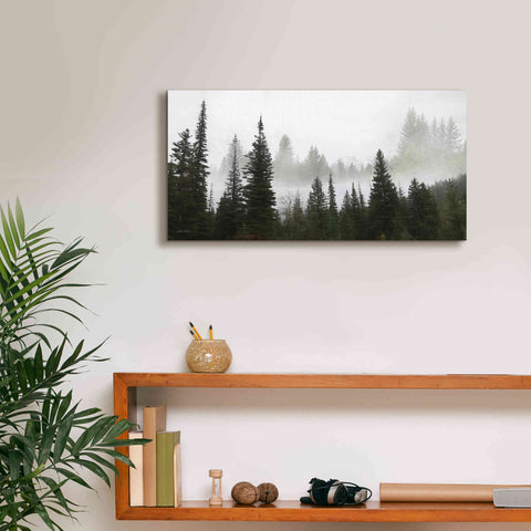Image of 'Schwabachers Landing Trees' by Lori Deiter, Canvas Wall Art,24 x 12