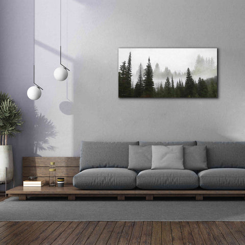 Image of 'Schwabachers Landing Trees' by Lori Deiter, Canvas Wall Art,60 x 30