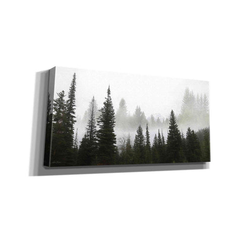 Image of 'Schwabachers Landing Trees' by Lori Deiter, Canvas Wall Art