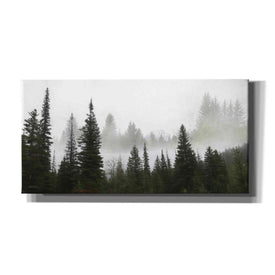 'Schwabachers Landing Trees' by Lori Deiter, Canvas Wall Art